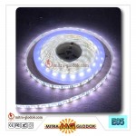 LED Strip Brilux SMD 5050 Mata Besar | IP 65 - Outdoor
